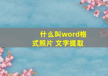 什么叫word格式照片 文字提取